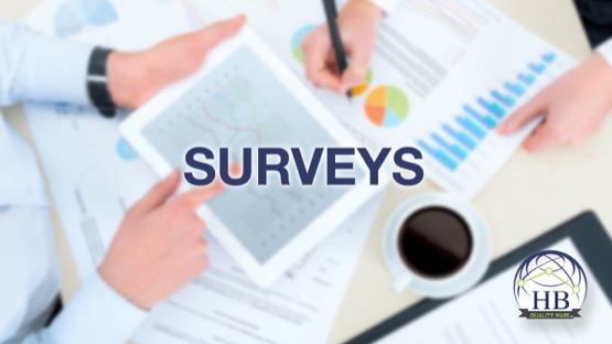 hbquality surveys